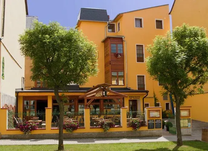 Wellness hotel Ida, Františkovy Lázně Františkovy Lázně